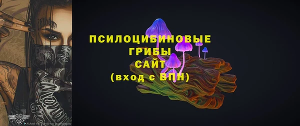 ешки Бронницы