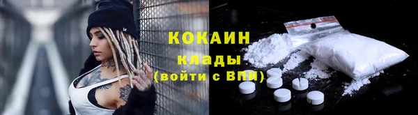 мет Протвино