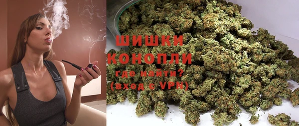 прущая мука Богородицк