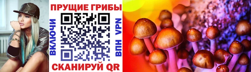 Галлюциногенные грибы прущие грибы  Дюртюли 